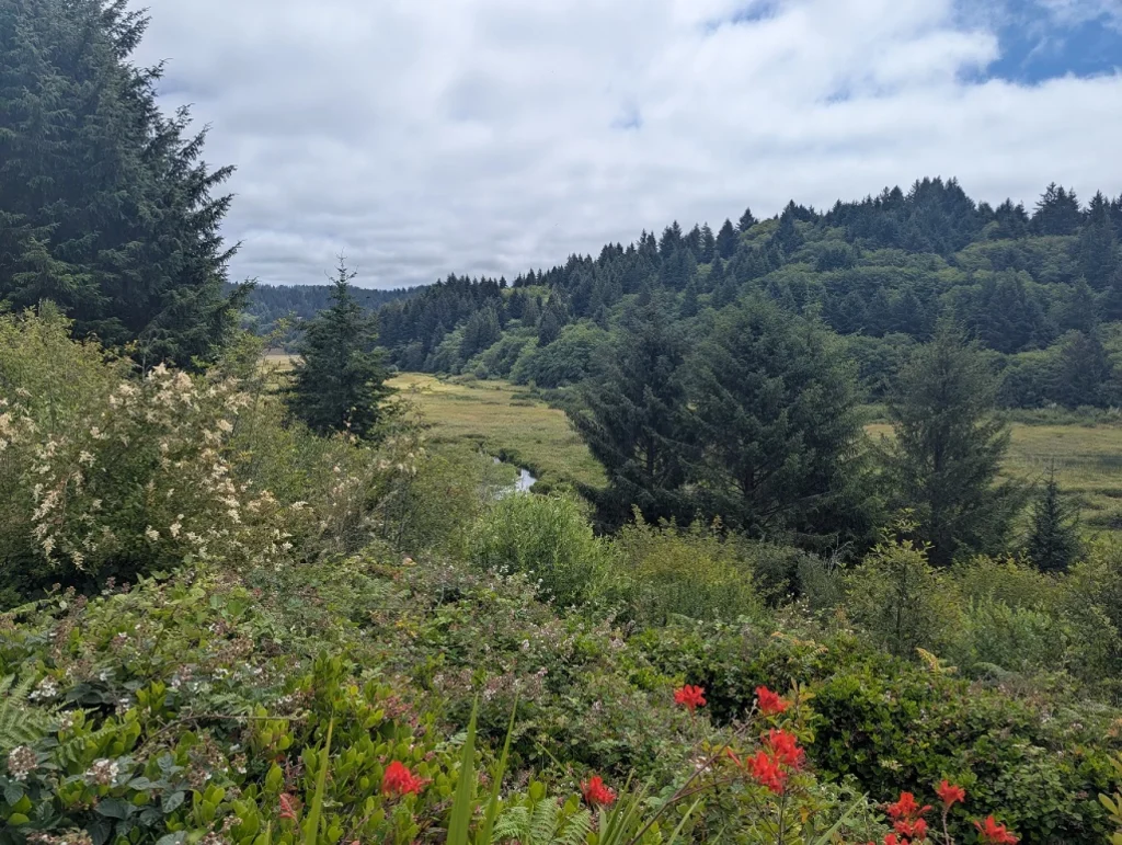 Parking Fees Expanding to 22 More Oregon State Parks This Spring