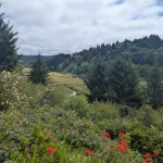 Parking Fees Expanding to 22 More Oregon State Parks This Spring