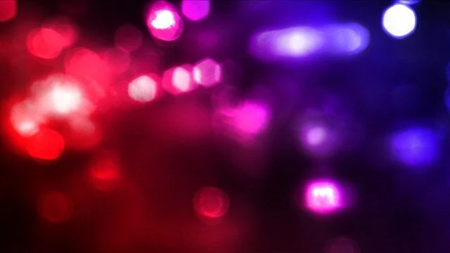 Springfield Police Chase Ends with Arrest of Domestic Violence Suspect