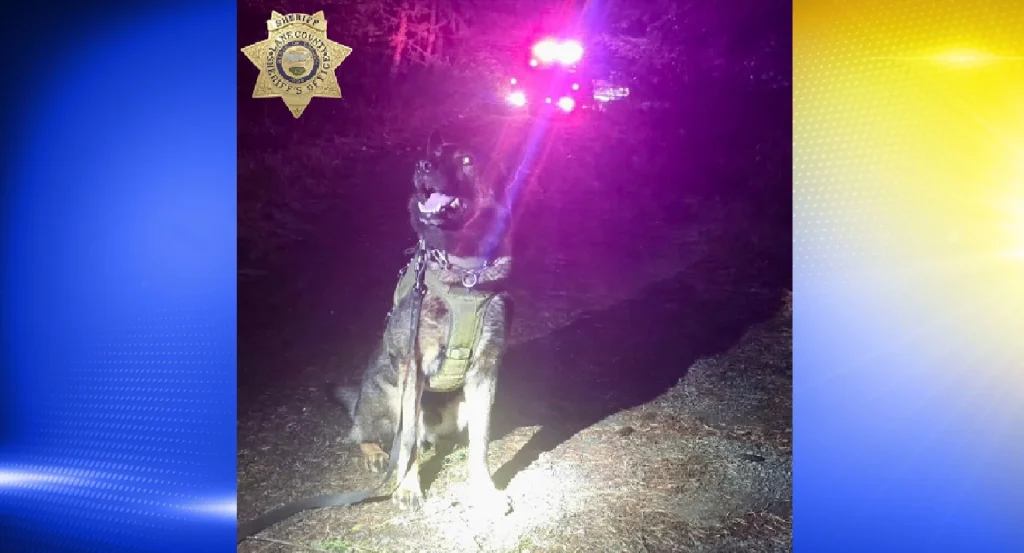 Dexter man captured by deputies after fleeing crash scene