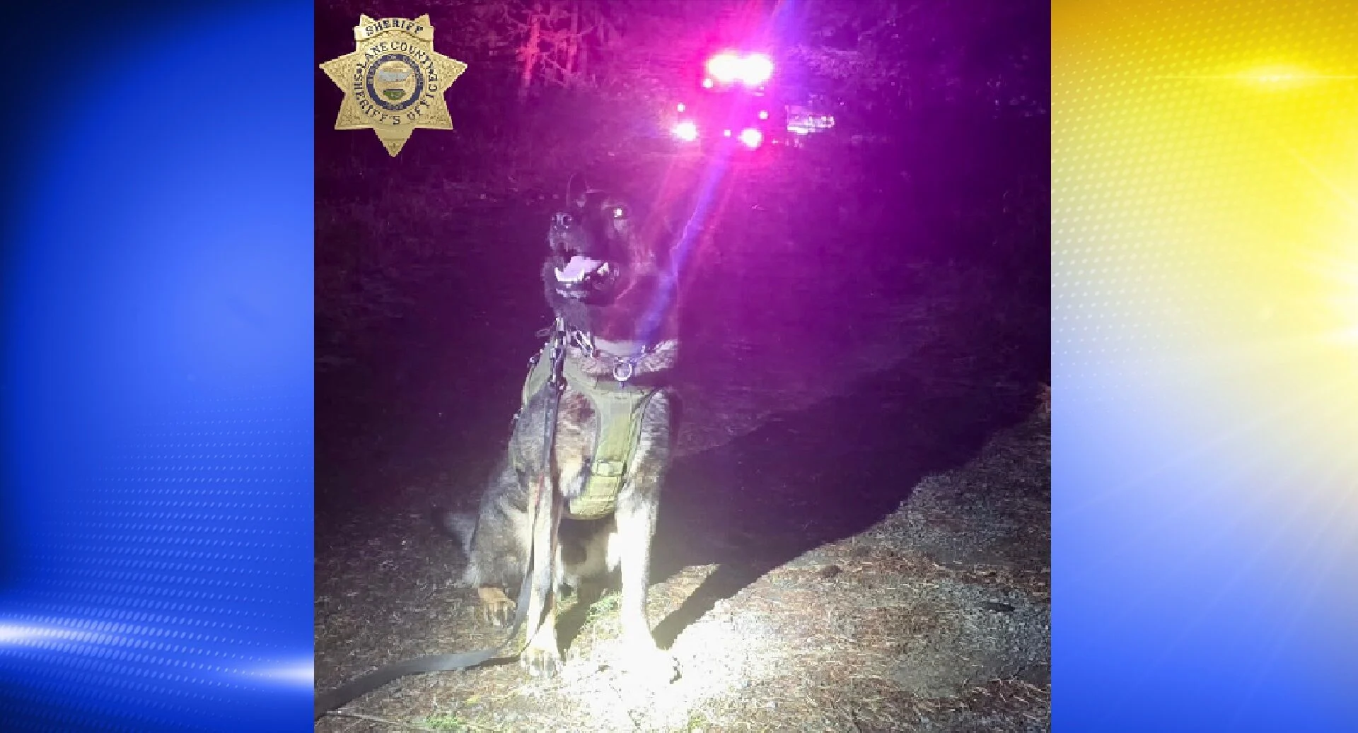 Dexter man captured by deputies after fleeing crash scene