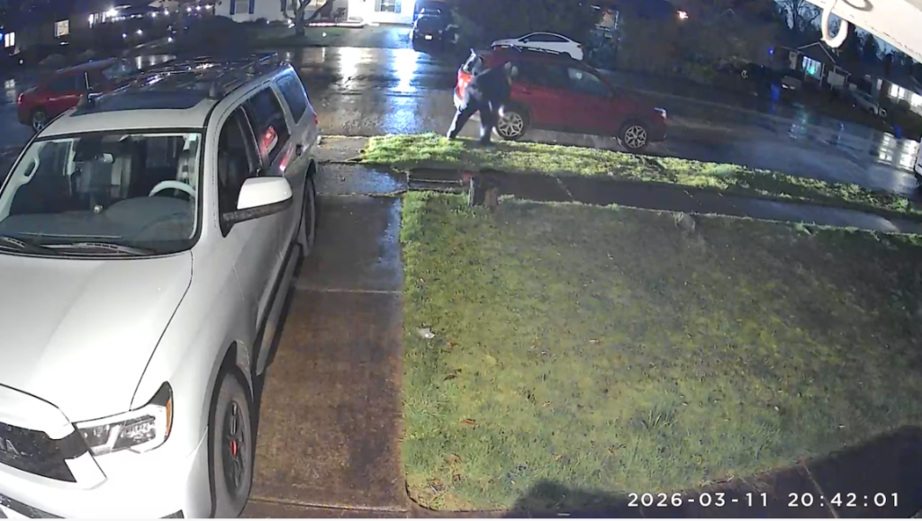 Gladstone police identify suspect in series of overnight tire slashings