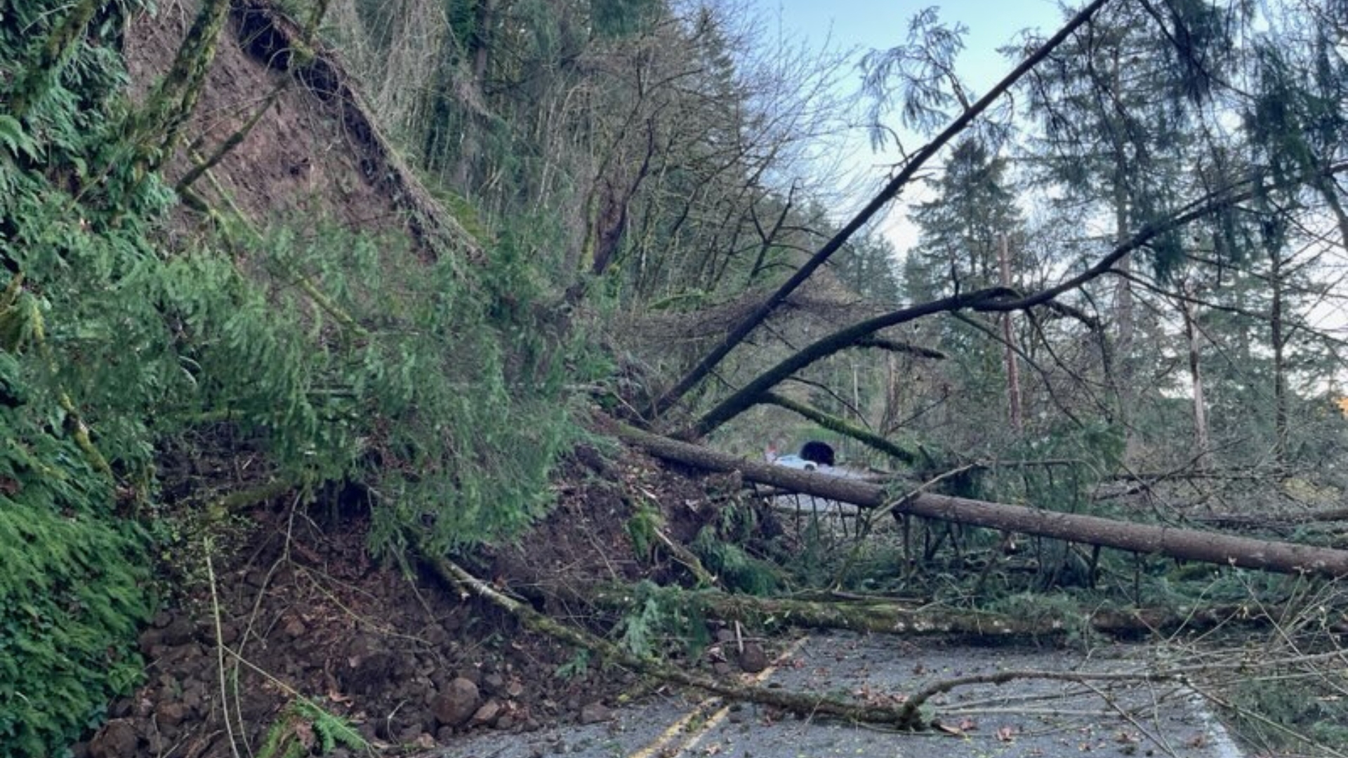 Major Landslide Shuts Down NW Cornell Road in Portland, No Reopening Timeline Yet