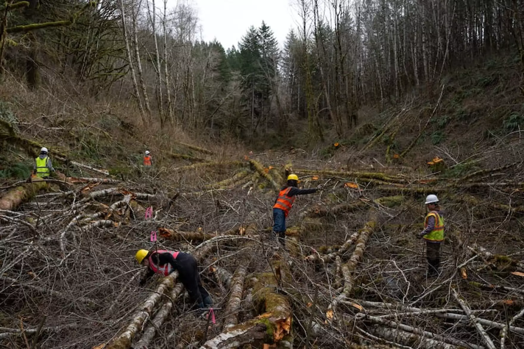 Oregon Youth Watershed Council Helps Students Gain Skills While Restoring Local Ecosystems