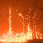 Oregon Nonprofit Founder Accused of Diverting Disaster Relief Funds for Personal Use