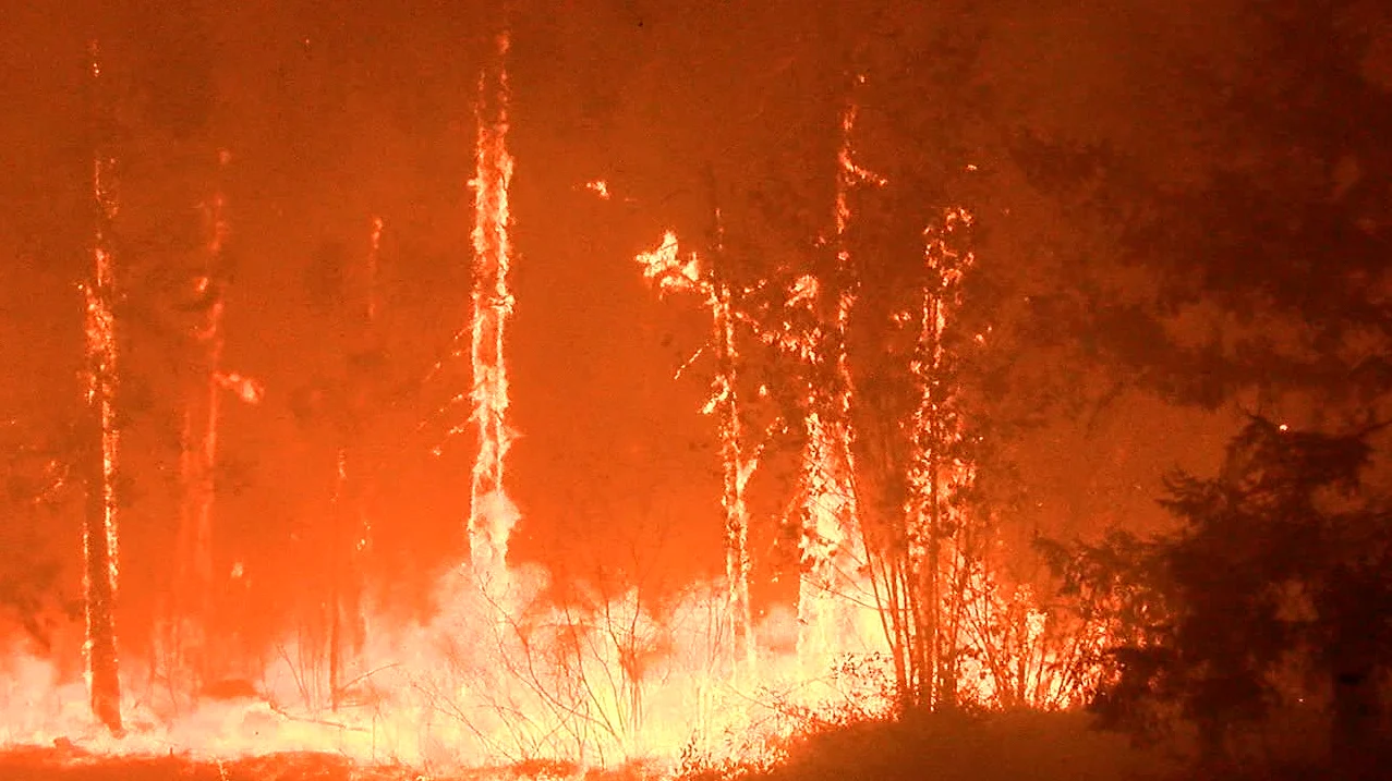 Oregon Nonprofit Founder Accused of Diverting Disaster Relief Funds for Personal Use