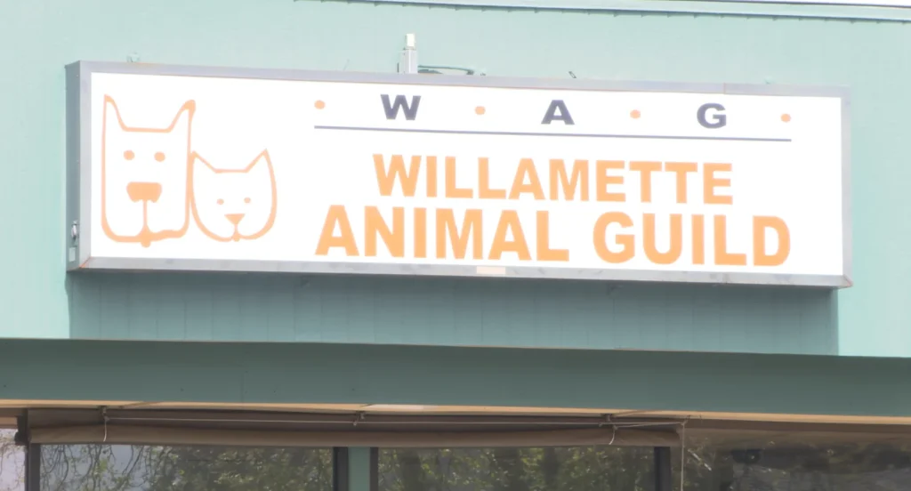 Lane County Low-Cost Spay and Neuter Clinic Closes After Nearly Two Decades