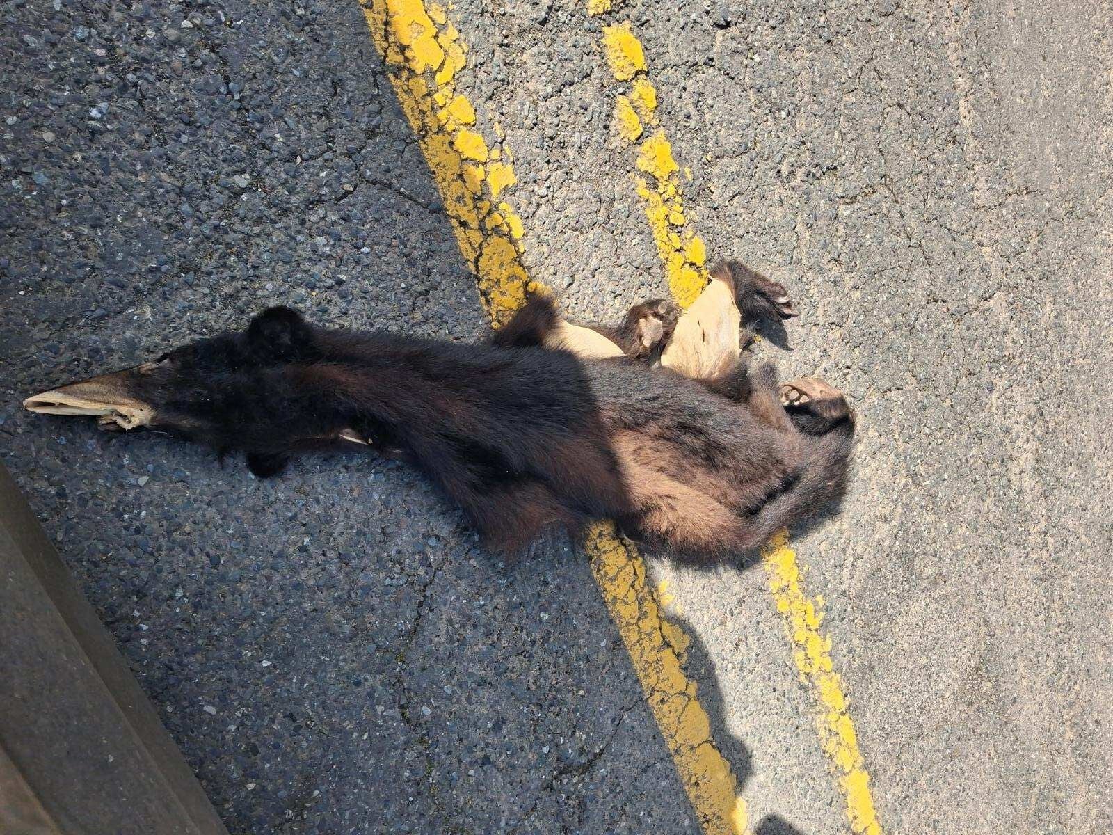 Burglary Suspect Arrested After Bandon Homeowner Tracks Stolen Items