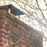 Eugene-Springfield Among Worst U.S. Cities for Air Pollution, Report Finds