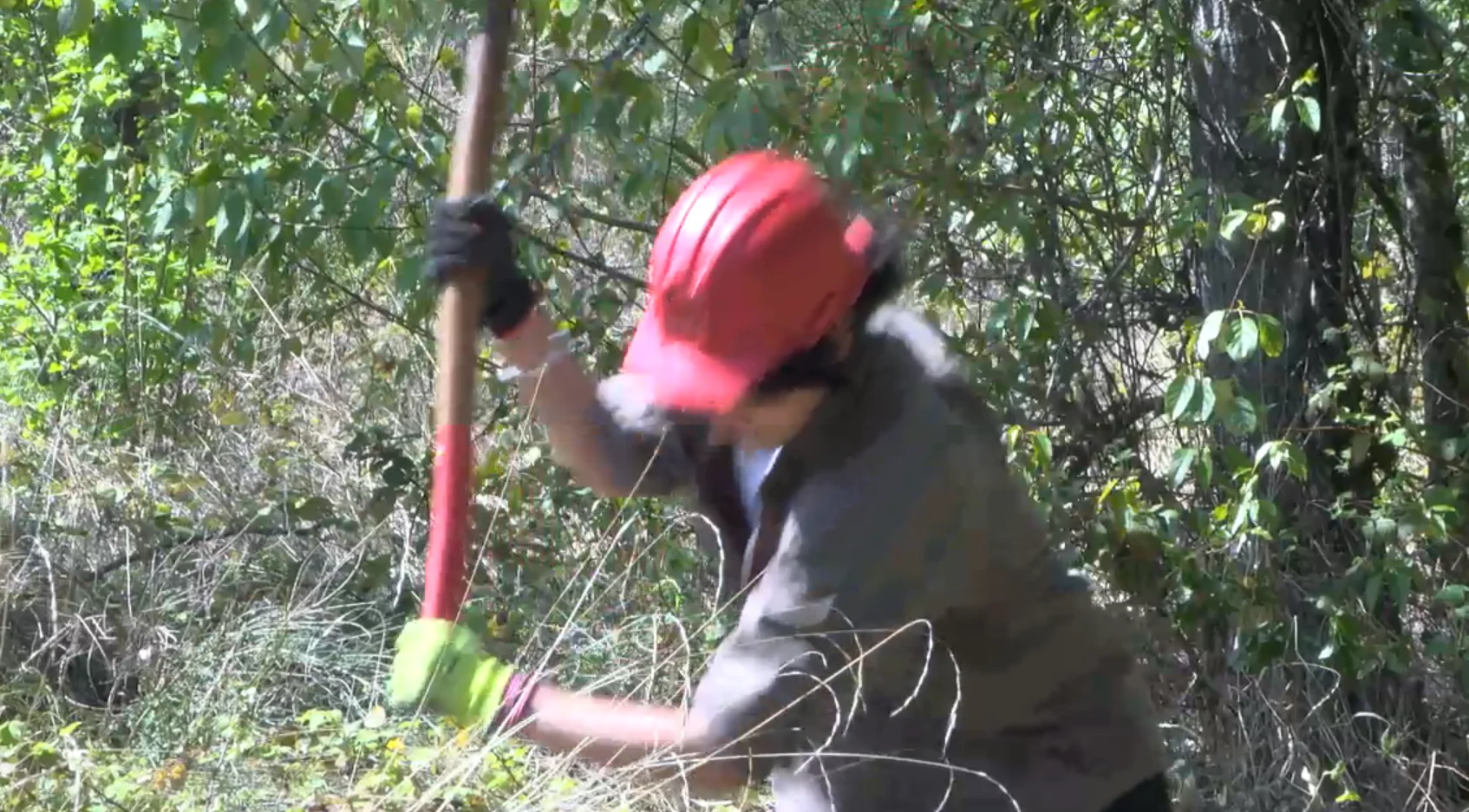 Eugene Students Take on Invasive Plants in 24-Hour ‘Weed-a-Thon’ to Restore Local Habitat