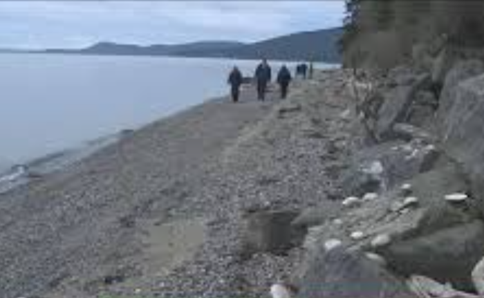 Mystery of “Dead Dogs” on Guemes Island Solved: Authorities Say They Were Foxes Used for Fishing Bait