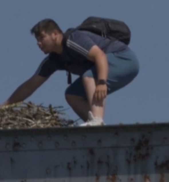 Police Seek Suspect Accused of Stealing Migratory Bird Eggs in Milwaukie Park