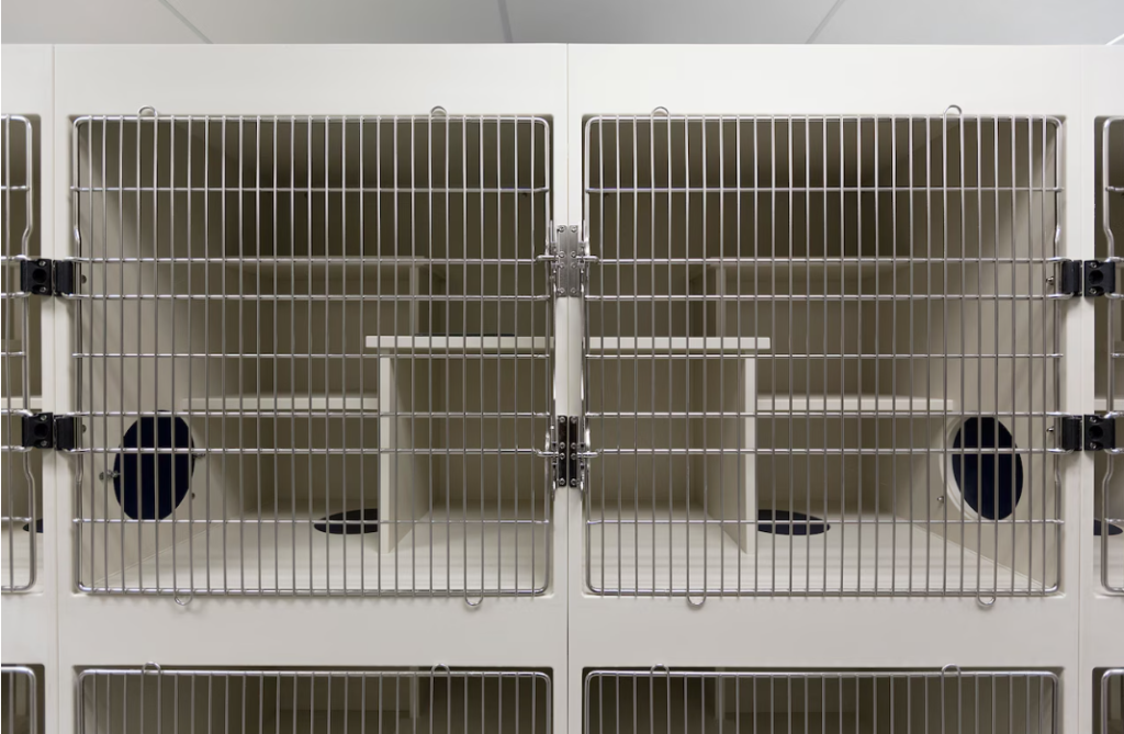 Oregon Man Arrested After Allegedly Stealing Dogs from Animal Shelter