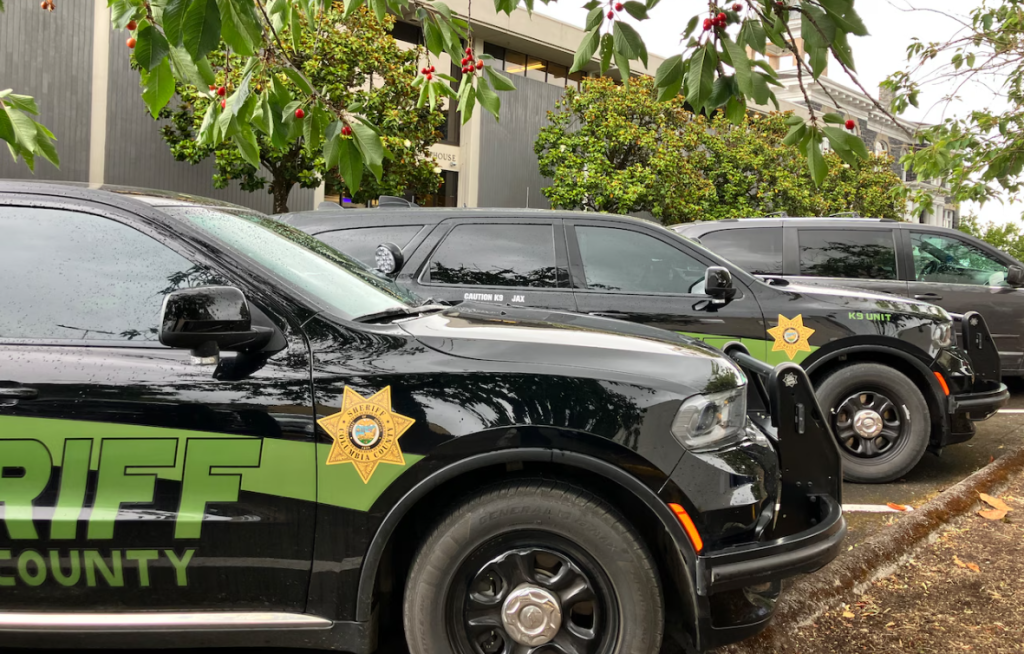 Oregon Teen in Alleged Mall Attack Plot Sentenced to Probation After Admitting False Threat