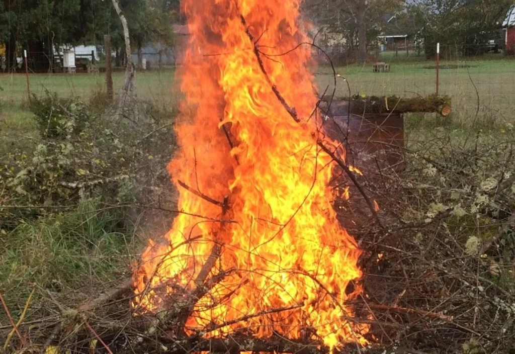 New ‘Before You Burn’ Tool Helps Oregonians Check Outdoor Burning Rules
