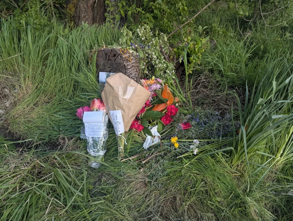 Eugene Manslaughter Trial Begins in Death of University of Oregon Professor Sharon Schuman