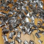 150 Live Venomous Scorpions Found in Man's Luggage at Airport
