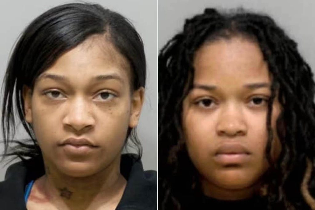 2 Sisters, Including One 9 Months Pregnant, Allegedly Hurled Hot Oil and Stabbed Restaurant Worker for Wrong Order