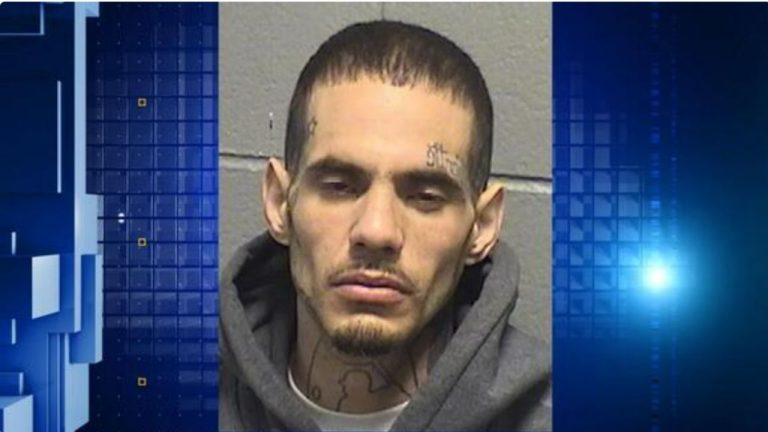 Chicago gang member taken into custody after leading Ogle County police ...
